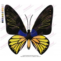 Colorful Butterfly Embroidery Design
